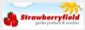 Garden Supplies in HORNCASTLE - StrawberryField