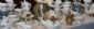Tableware Hire in LONDON - The Afternoon Tea Party