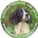 Pets and Animals in CASTLE DOUGLAS - Working Canines Pets and Animals in CASTLE DOUGLAS - Working Canines