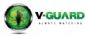 Site Security in ENNISKILLEN - Vguard International