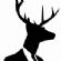 Wedding Guides in CREWE - Staggered Wedding Guides in CREWE - Staggered