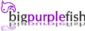 web designers in ROTHERHAM - Big Purple Fish Ltd web designers in ROTHERHAM - Big Purple Fish Ltd