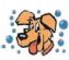 Pet Services in SOUTHEND-ON-SEA - K9 Pet Services & Pet Supplies Pet Services in SOUTHEND-ON-SEA - K9 Pet Services & Pet Supplies