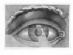 private investigation in STOCKTON-ON-TEES - CSI Private Detective