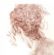 Art Courses in BIRMINGHAM - Paul Bartlett Paintings