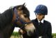 in TIVERTON - Understanding Horses in TIVERTON - Understanding Horses