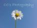 Greeting Cards in REDHILL - CC's Photography