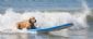Holiday Homes in WHITBY - Whitby Dog Friendly Holidays