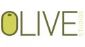 web designers in STOCKPORT - Olive Studios