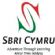 Attractions in SWANSEA - Sbri Cymru Ltd