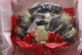 Chocolate Gifts in EXETER - Chit-Chat-Chocs