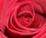 Lawn Care in SPILSBY - Lincs Garden & Grass Care