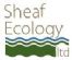 Ecological Consultancy in SHEFFIELD - Sheaf Ecology