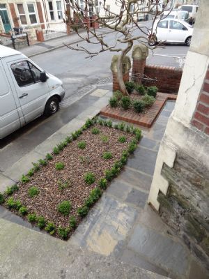 front garden at Somerset Rd - Gardeners Bristol