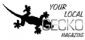 Magazine Publishing in SWINDON - Gecko Advertising