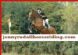Horse Riding in LONDON - Jenny Rudall Horse Riding