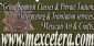 Language Training in EDINBURGH - Mexcetera