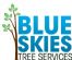 Tree Surgeons in COVENTRY - Blue Skies Tree Services