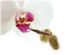 Mobile Beauty Therapists in PETERBOROUGH - Holistic Beauty Essentials
