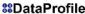 internet marketing in LEEDS - Data Profile