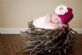 Pregnancy Yoga Classes in BRIGHTON - Innerlight Pregnancy