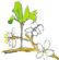 graphic design in BEDFORD - Damson Tree Designs