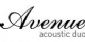 entertainers in NORWICH - Avenue Acoustic Duo