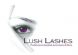 in SLOUGH - Lush Lashes in SLOUGH - Lush Lashes