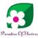 florists in GLASGOW - Paradise of Flowers