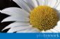 Photographers in LEICESTER - Phil Tenwick Photography
