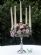 Wedding Accessories in CALNE - Thistle Candelabras