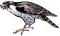 Wills and Trusts in BRISTOL - Westbury Wills