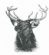 Farm Shop in BIGGAR - Carmichael Estate Visitor Centre & Farm Shop