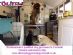 Pet Sitting in LISKEARD - Oliver's Dog Grooming Services Cornwall