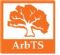 Tree Surveys in SWANSEA - ArbTS - Arboricultural Technician Services
