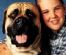 Pet Sitting in LYMM - Lymm Dog Sitters