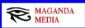 Website Graphic Design in ALEXANDRIA - Maganda Media