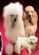 Pet Microchipping in BASINGSTOKE - Defur Dog Grooming