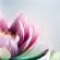 holistic therapy in BIRMINGHAM - Angels MBS Events and Centre