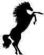 Security Staff in KNOTTINGLEY - stallion securities ltd