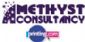 web designers in LINCOLN - Amethyst Consultancy