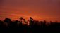 Gardeners in PLYMOUTH - Professional Tree Surgeons Gardeners in PLYMOUTH - Professional Tree Surgeons