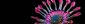 massage therapists in BELFAST - New You Holistic Therapies Belfast