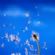 marketing in NORWICH - Clearview Marketing and Business Solutions