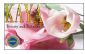 beauty in CAMBERLEY - Kaya Beauty and Relaxation