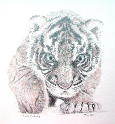 Fierce Curiosity - Artists Oswestry