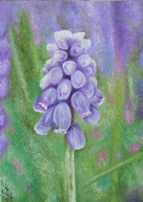 First Bloom - Artists Oswestry