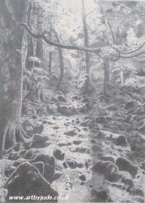 Llanrhaeadr Forest Pencil Drawing - Artists Oswestry