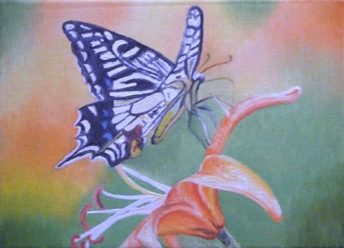 Nectar Of Flight - Artists Oswestry