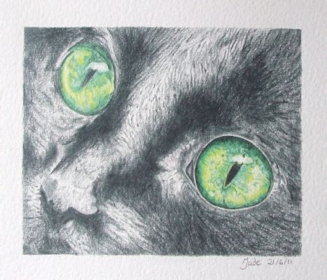 Watchful - Artists Oswestry